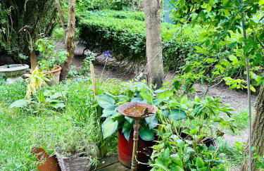 Tiny House nah am Nationalpark - Foto 38