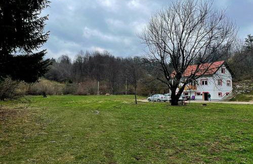 Villa Andjelija - Foto 39