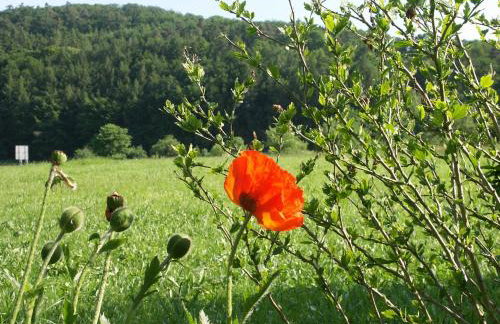 Ferienhaus Weitblick - Foto 6