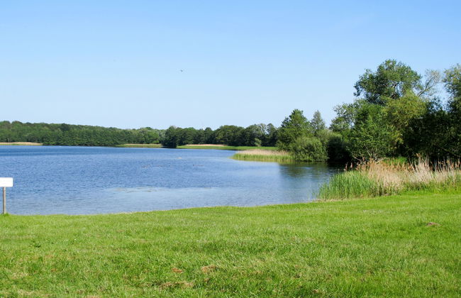 Alte Schmiede - Foto 17