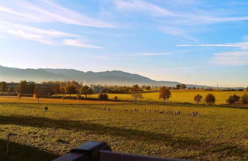 Mc Garry Apartments and Garden - Foto 28