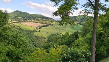 Agriturismo La Valle del Vento Urbino - Foto 2