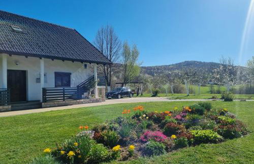 Apartment Rosandić - Foto 13