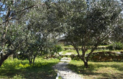 Meltemi Studios and Apartments - Photo 29