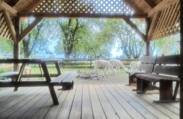 Gospodarstwo agroturystyczne alpaki Pituchówka - Foto 9