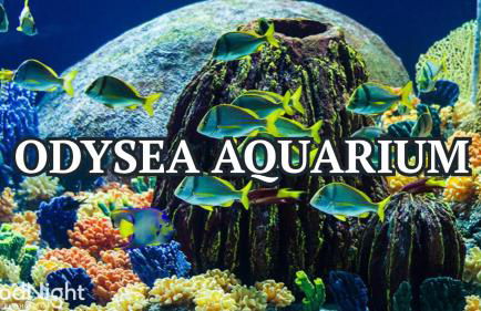 Sol - Pool & Hot Tub - Mins to TPC Scottsdale - Foto 68