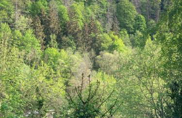 Ferienhaus Rübeland - Foto 15