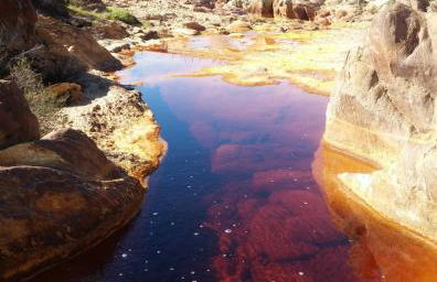 Apartamento Rural Las Palmeras - Foto 32