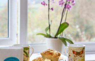 Strongate View Apartment - cosy stylish rural Jurassic coast & Bridport nearby - Foto 12