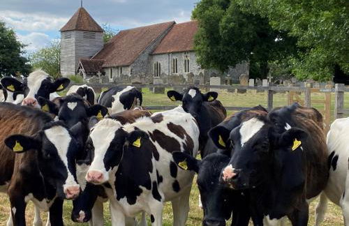 Monarchs View Farmstay - Foto 13