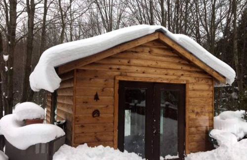 Secluded Cabin Rental near Letchworth State Park in Buffalo, Arcade, New York - Foto 16