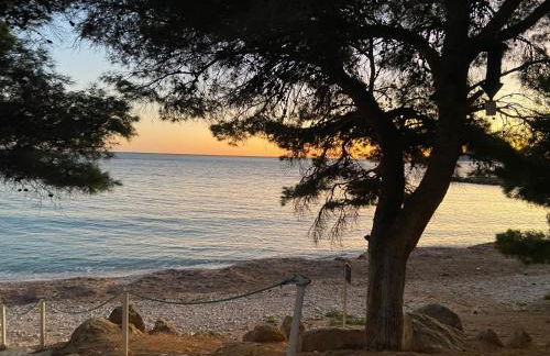 Can Luc Altea - Photo 67