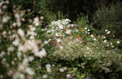 Ferienhaus "Sonne im Grünen" - Foto 19