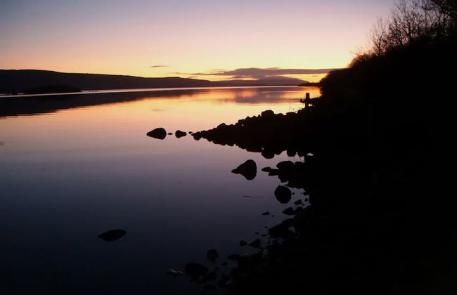 The Willows at Mullans Bay - Photo 29