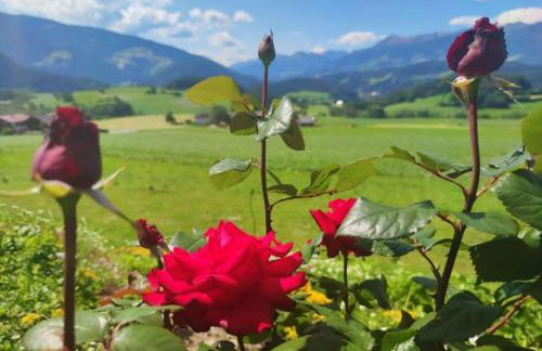 Residence Stefansdorf - Photo 37