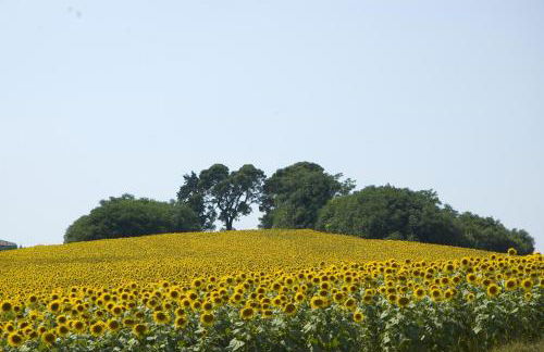 Country House Il Sassòne - Foto 19