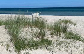 Mein-Ostseeplätzchen Haus am Meer 6 - Foto 26