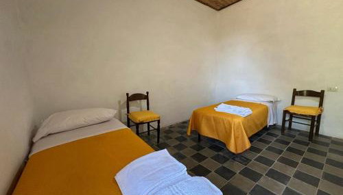 Il castagno - Foto 4