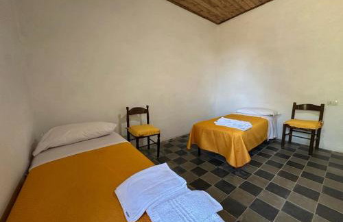 Il castagno - Foto 4