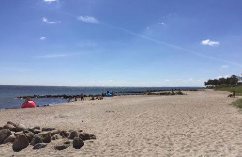 Strandläufer - Foto 29