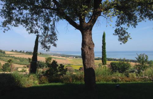 Colle degli ulivi Green Resort - Foto 50