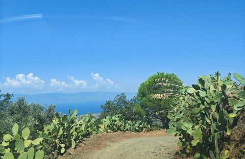 Il casale degli aragonesi - Foto 9