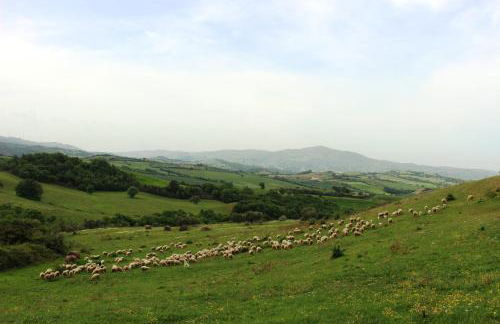 La Rocca delle Pigne - Foto 23
