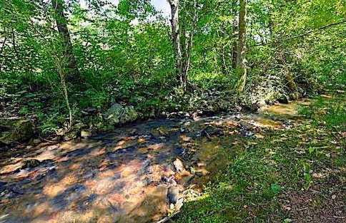 Little Heaven - Foto 21