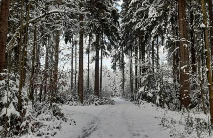 Ferienwohnung Reißmann - Foto 33