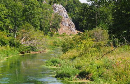 Ferienwohnung Pension Waldblick - Foto 49