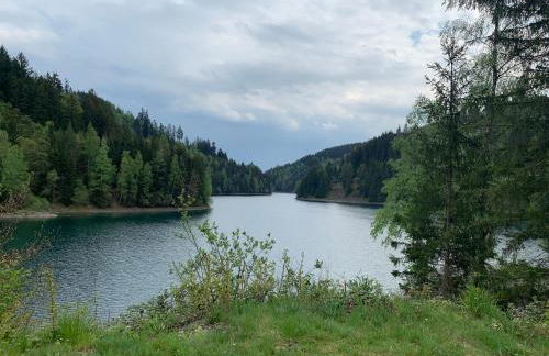 Komfortables Ferienhaus in Lichtenberg bei Hof im Frankenwald 400m vom See nahe Bad Steben - Foto 20