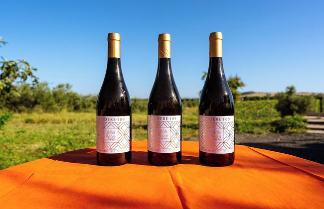 Agriturismo Bio Podere 109 - Wine & Food - Foto 77