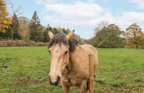 1 The Old Methodist Chapel - Foto 40