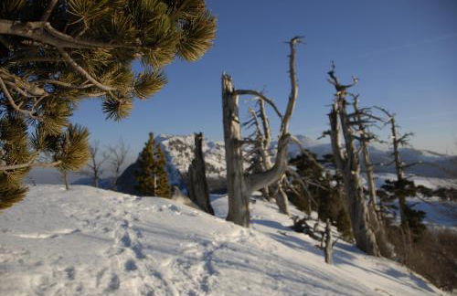 Tana Libera Tutti 3 Nature, Yourself, Love - Foto 39