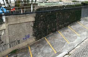 Casa Lebrão - Foto 29