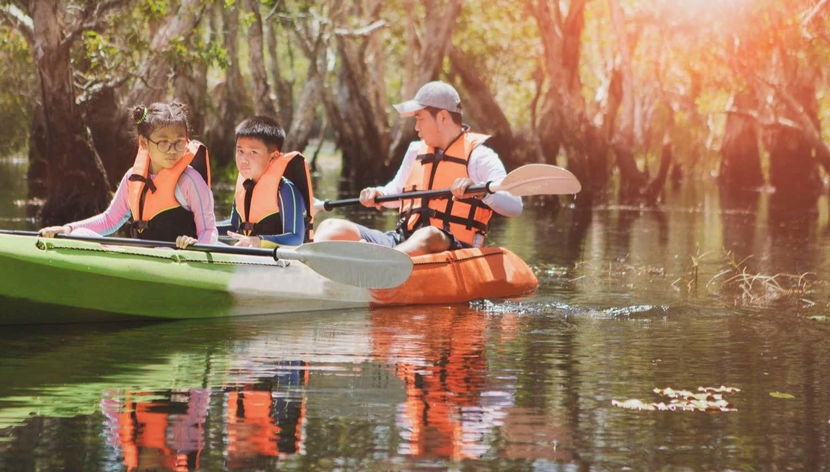 Balade en kayak dans la réserve ornithologique de Caroni