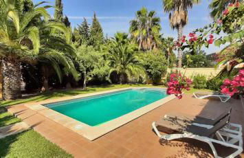 Casa Palmera - Foto 2