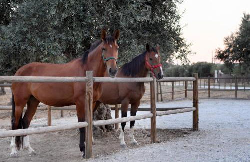 A Casa do Governador - Foto 66