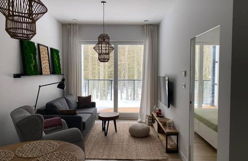 Apartament Nieznany Bór - Foto 1