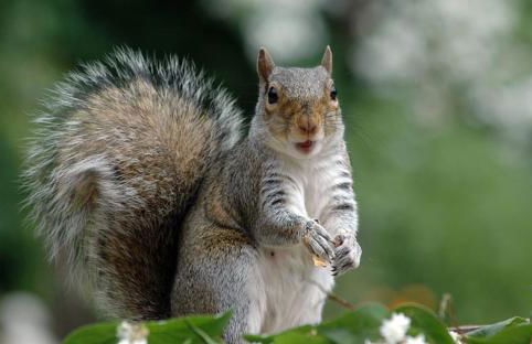 Tapestry Apartment - Foto 20