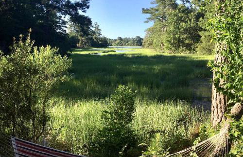 Serene Tiny House with a Big Charm for Glamping in Virginia - Photo 17