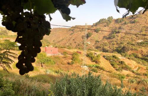 Casa Rural de Tío Félix - Foto 37