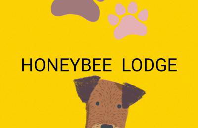 family honeybeelodge york Hot Tub and wood burner - Foto 2