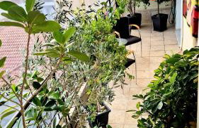 Sunshine Retreat Apartment - Foto 24