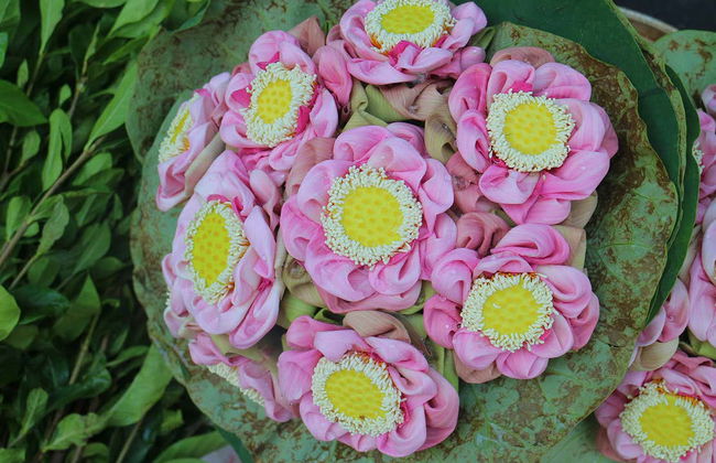 Tour privado pelo Mercado das Flores - Foto 5