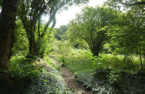 Holiday Home in Huelgoat near Monts d'Arrée - Foto 34
