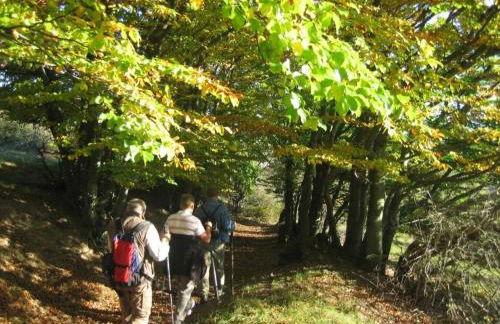 Apartment FeWo Panorama by Interhome - Foto 39