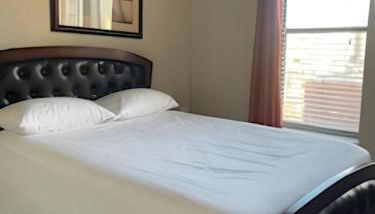 Radiant & Cozy - Photo 3