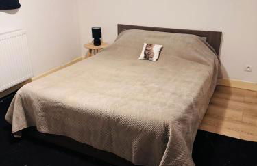 T3 Ancenis Saint Gereon - Foto 27