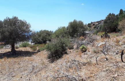 Villa Irena 2 - Foto 16